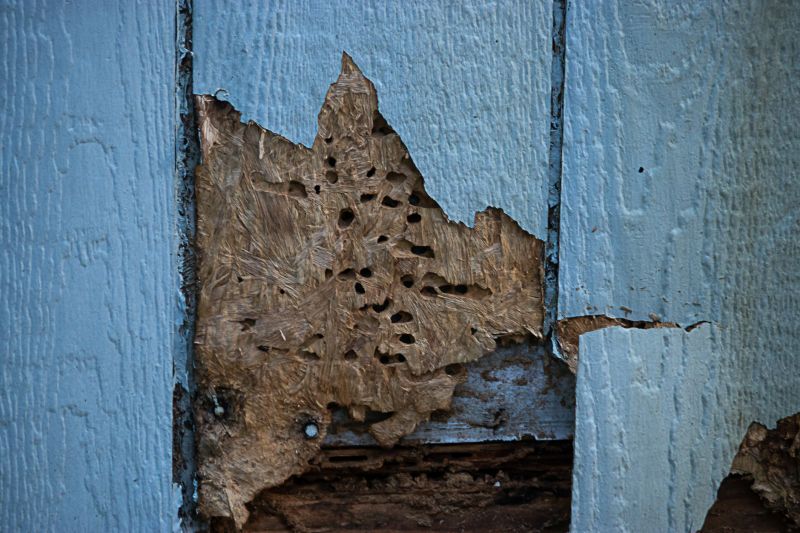 Shiplap Siding Repair