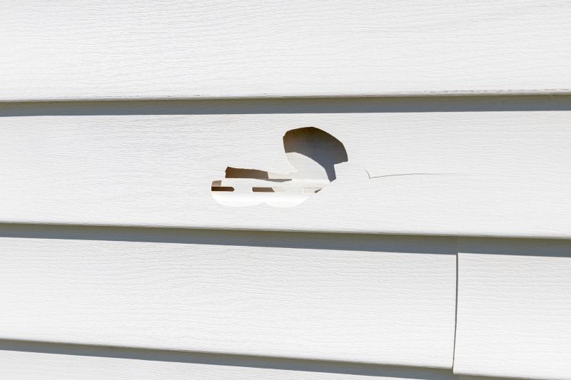 Vinyl Siding Repair Process - Image 3