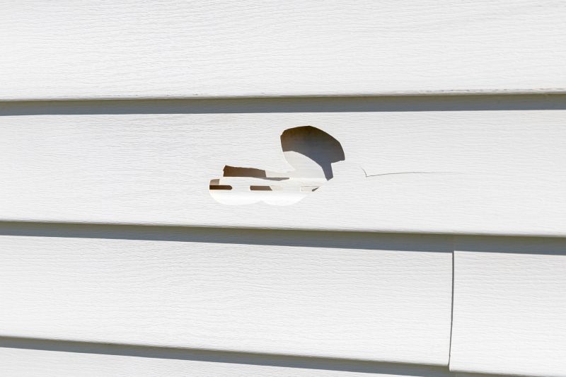 Vinyl Siding Repair - Image 9