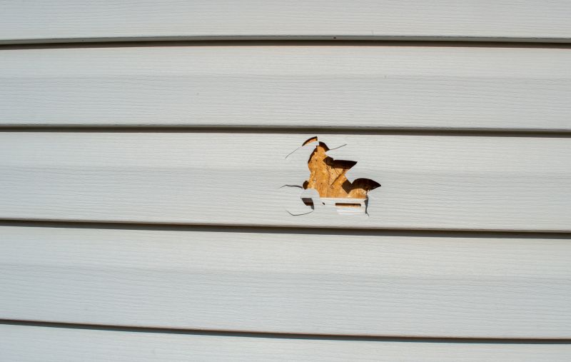 Vinyl Siding Repair